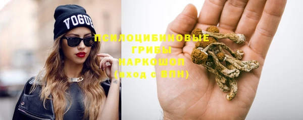 гидра Алзамай