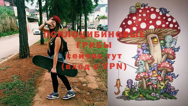 наркотики Алексин