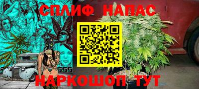 МДПВ Краснознаменск