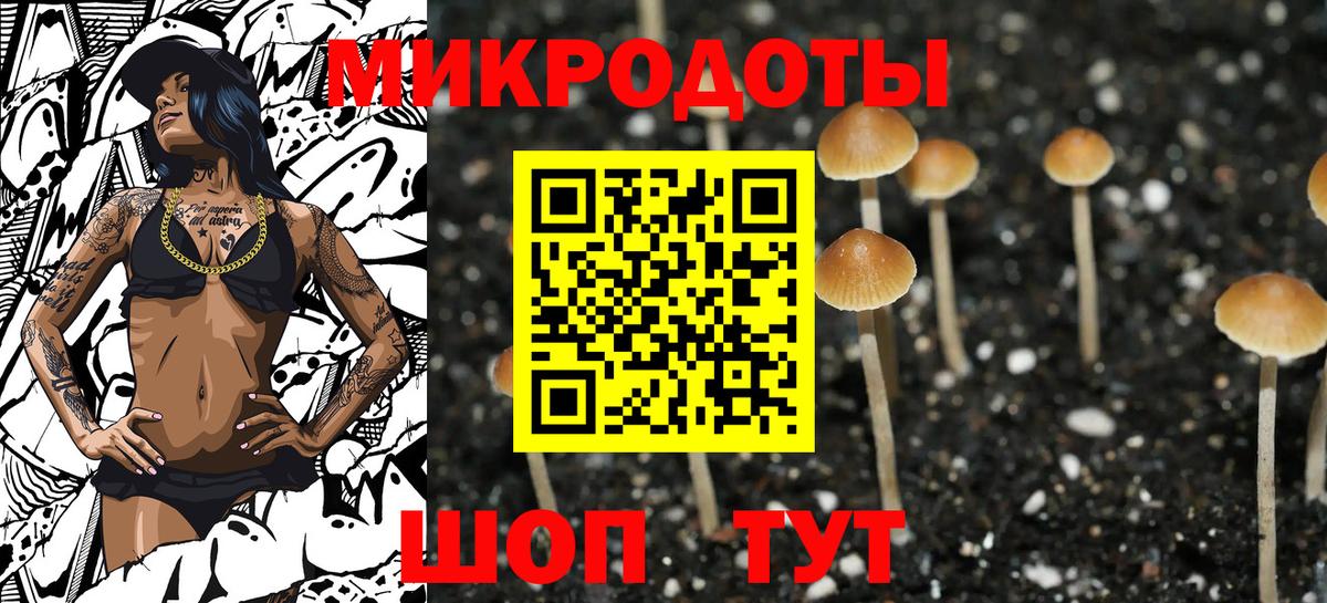 Псилоцибиновые грибы Cubensis  Вход с VPN  Кемерово 